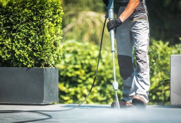 Best Solar Panel Cleaning  in Spanish Fort, AL